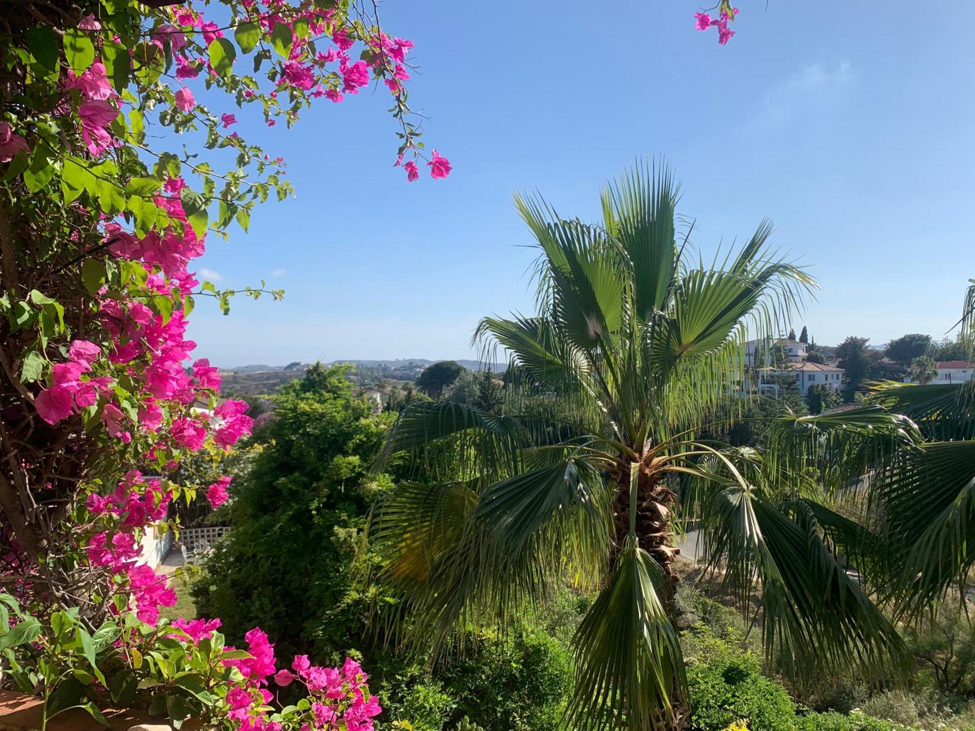 Casa Hermosa มิฮาส ภายนอก รูปภาพ